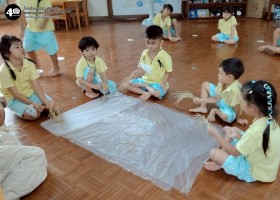 อนุบาลแกะเมล็ดข้าว (๑๘-๑๙ พ.ย.๖๘) Image 6